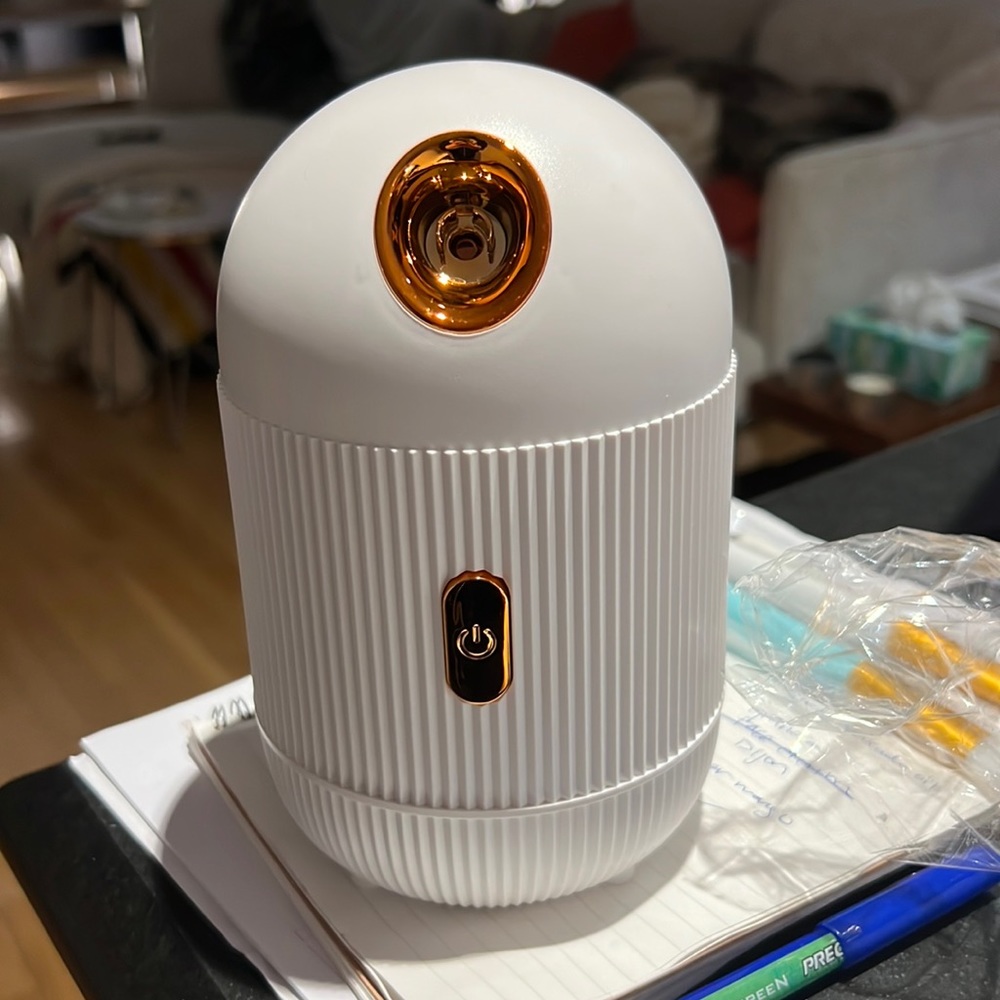 Facial steamer brand new